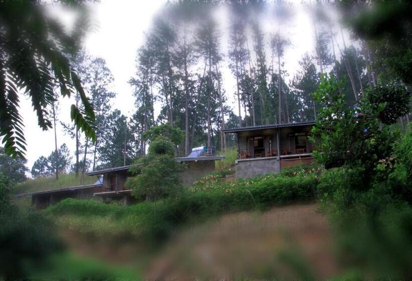 Pensione Rowinrich Cottages