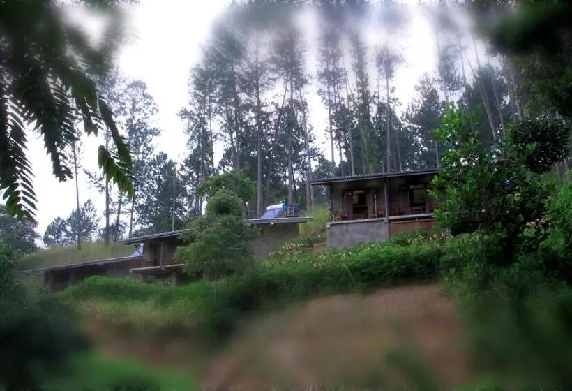 Majatalo Rowinrich Cottages