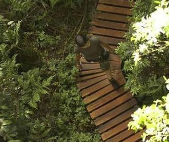 호텔 La Aldea De La Selva Lodge