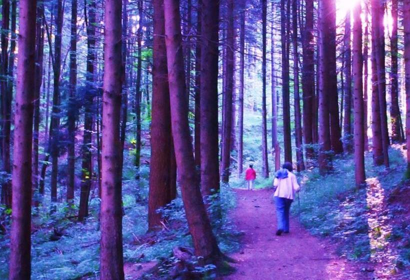 酒店 Tilly S B&b And Apartment House