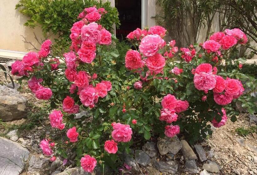 فندق Bastide Saint Thomé