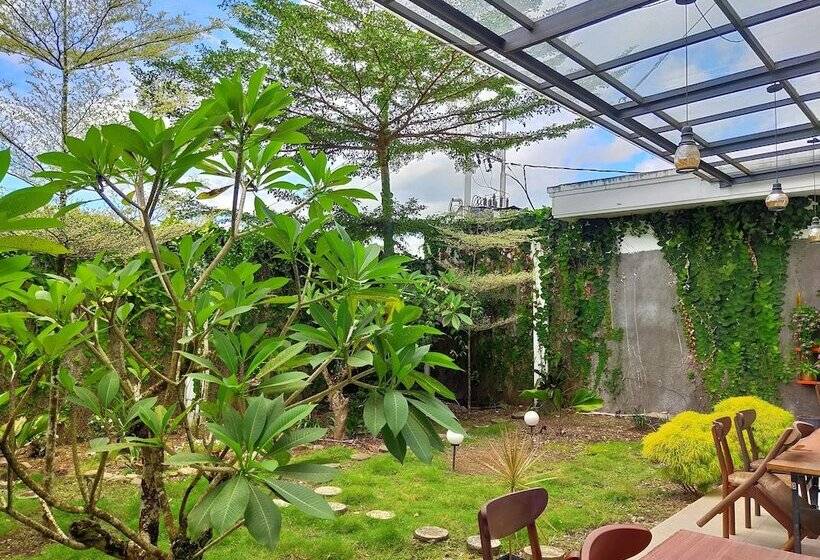 בית מלון כפרי Emerald