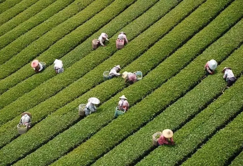 هتل Sheng Li Farm B&b