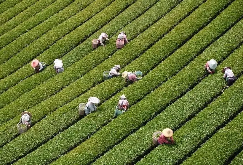 هتل Sheng Li Farm B&b