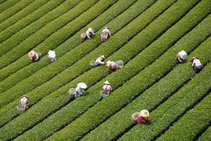 هتل Sheng Li Farm B&b