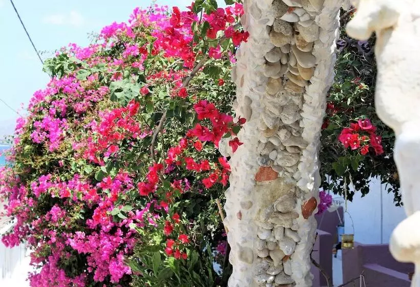 Hotel Apokoros Club Apt & Std Craft Deco & Activities