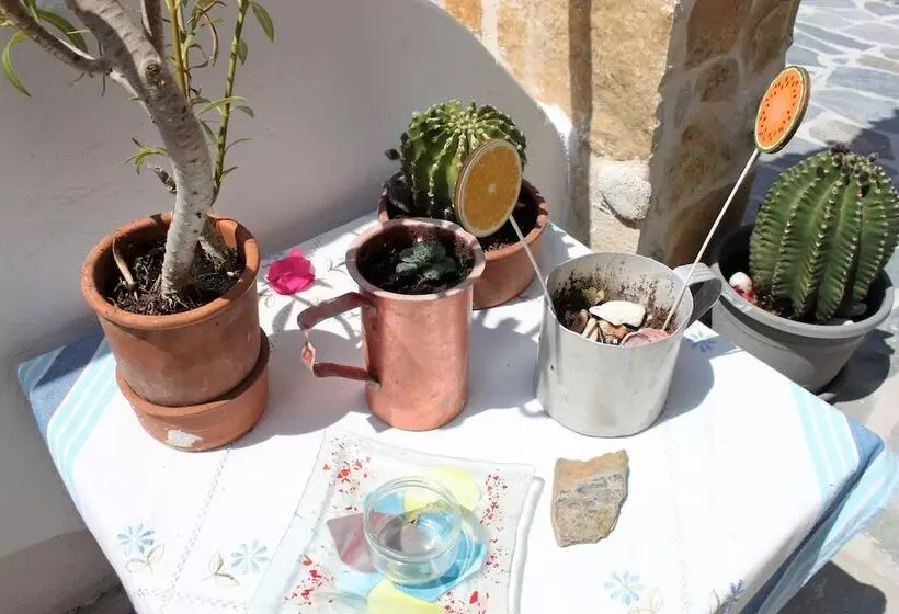 Hotel Apokoros Club Apt & Std Craft Deco & Activities