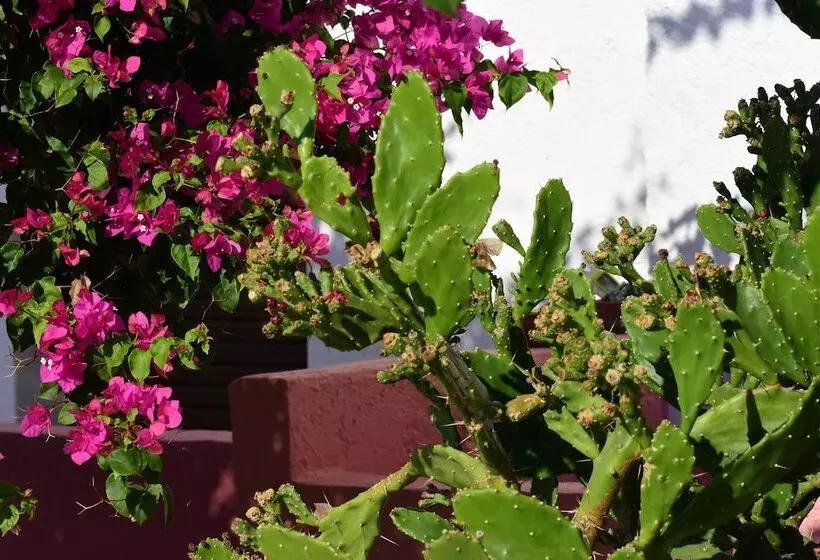 Hotel Apokoros Club Apt & Std Craft Deco & Activities