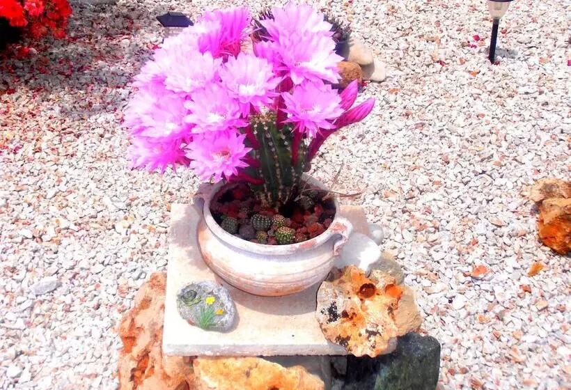 Hotel Apokoros Club Apt & Std Craft Deco & Activities