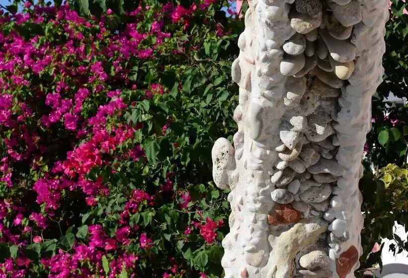 Hotel Apokoros Club Apt & Std Craft Deco & Activities