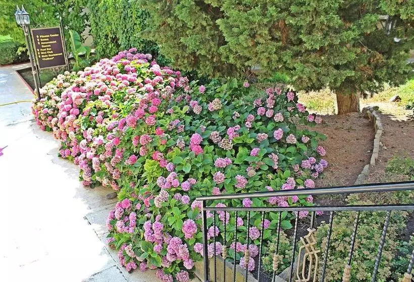 Duni Pelican Hotel   All Inclusive