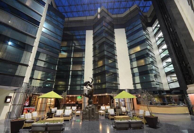 Отель Mision Pachuca