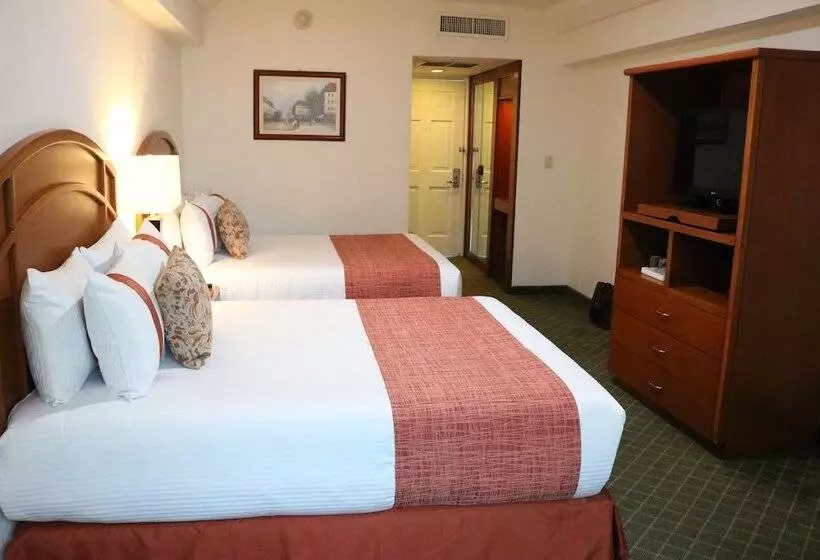 ホテル Mision Pachuca