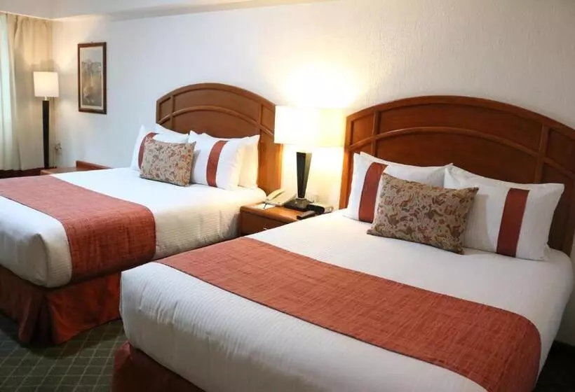 ホテル Mision Pachuca