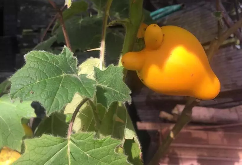 Отель Phu Pha Nam Resort