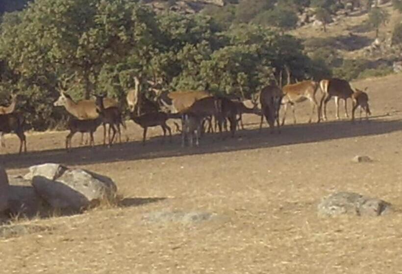 فندق ريفى Palacio Guzmanes