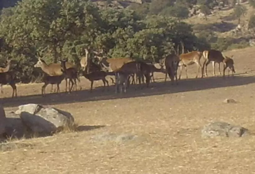 Сельский отель Palacio Guzmanes