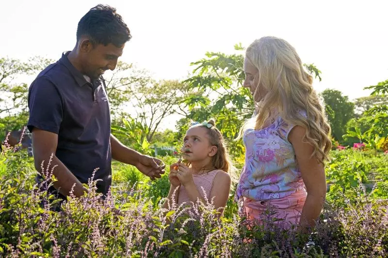 호텔 Sheraton Fiji Golf & Beach Resort