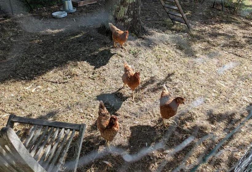 민박 Au Bonheur De Cisse