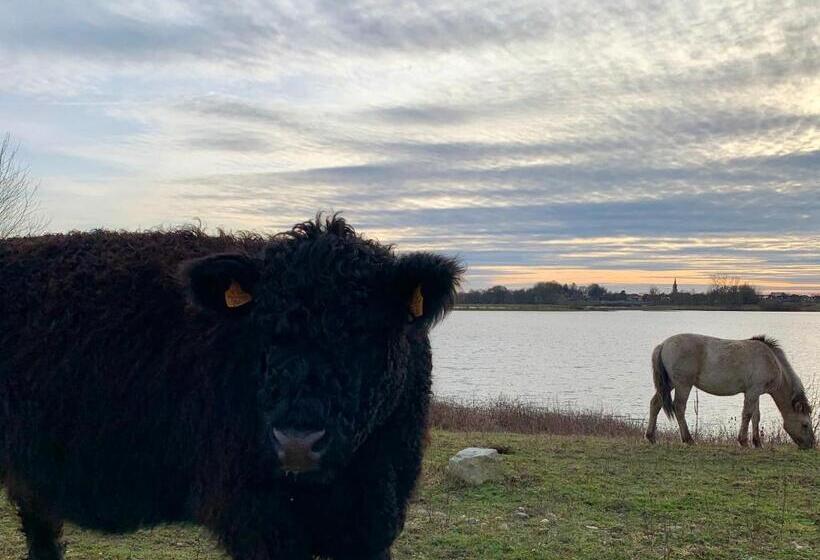 ホテル Guesthouse De Wissen