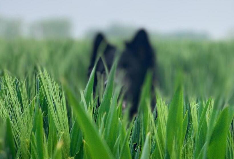 ホテル Guesthouse De Wissen