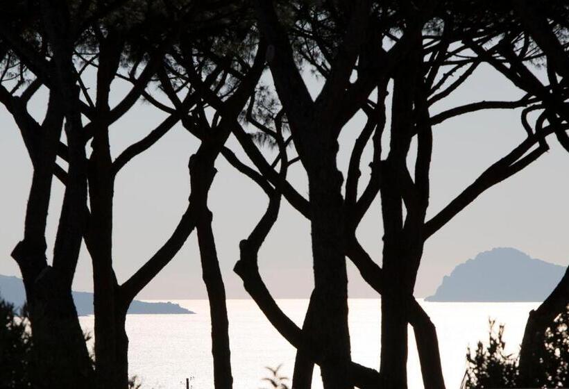 پانسیون Pachamama