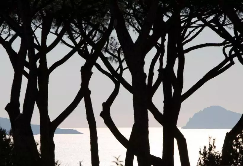 ペンション Pachamama