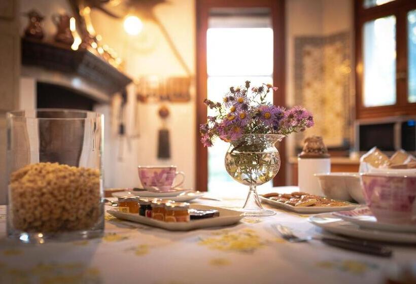 بنسيون Villa Vitturi