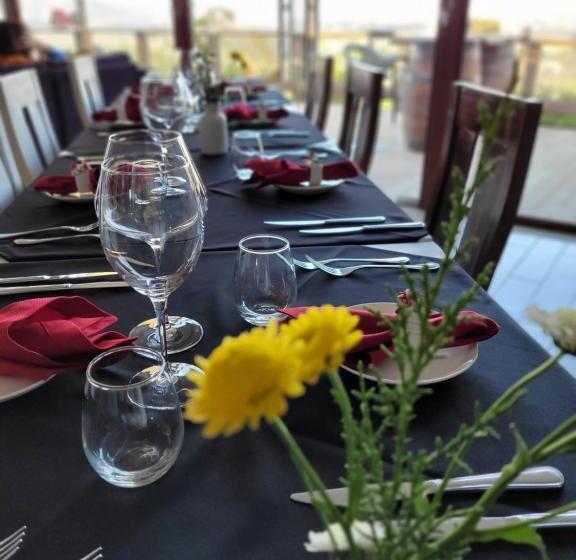 هتل Colchagua D Vino