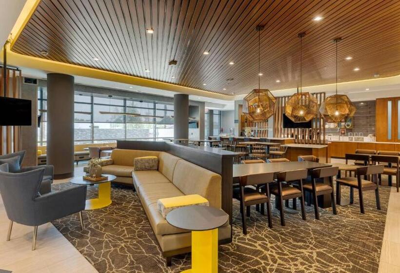 Отель Springhill Suites By Marriott Anaheim Placentia Fullerton