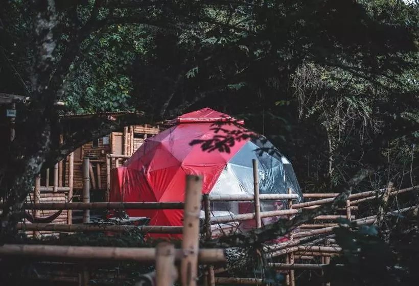 ベッドアンドブレックファースト Glamping Sumapaz Fusagasugá