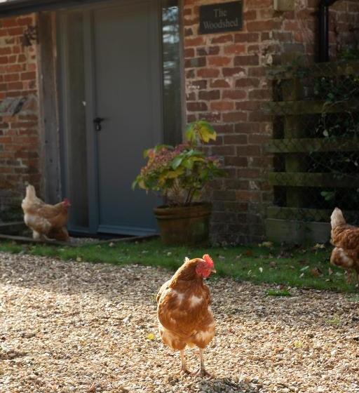 צימר Street Farmhouse