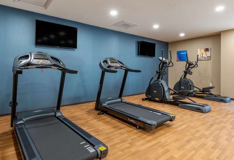 Отель Comfort Suites Camp Hillharrisburg West