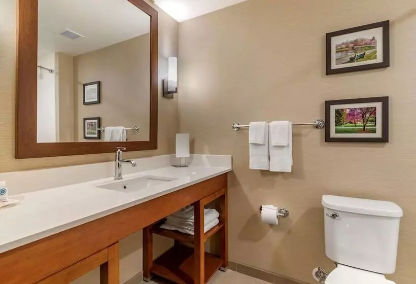 Hotelli Comfort Suites Camp Hillharrisburg West