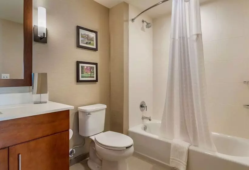 Hotelli Comfort Suites Camp Hillharrisburg West