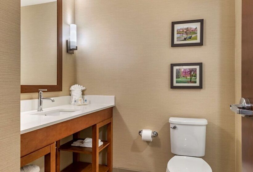 Отель Comfort Suites Camp Hillharrisburg West