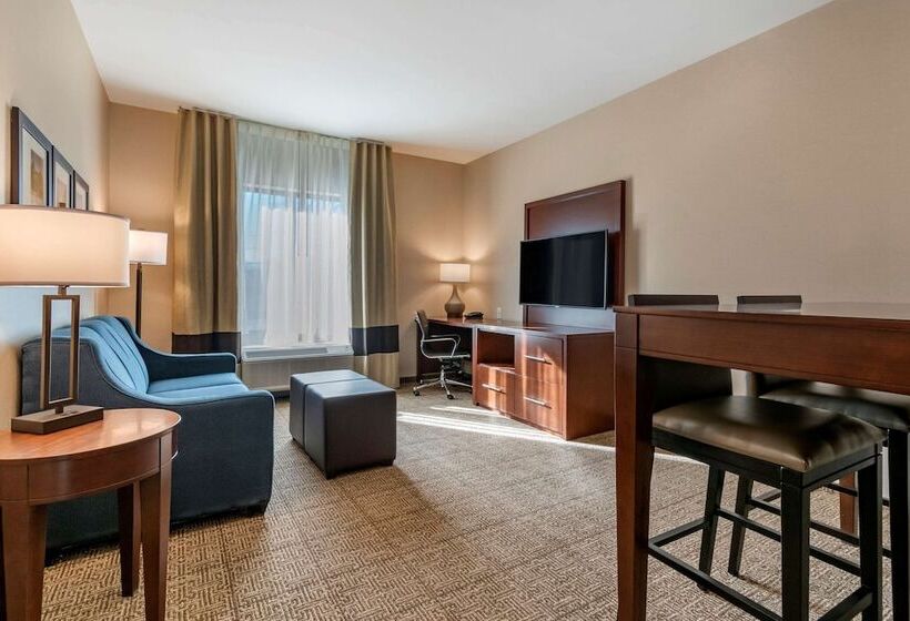 Отель Comfort Suites Camp Hillharrisburg West