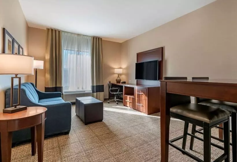 Hotelli Comfort Suites Camp Hillharrisburg West
