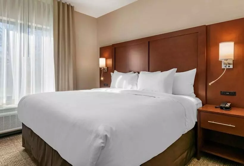 Hotelli Comfort Suites Camp Hillharrisburg West