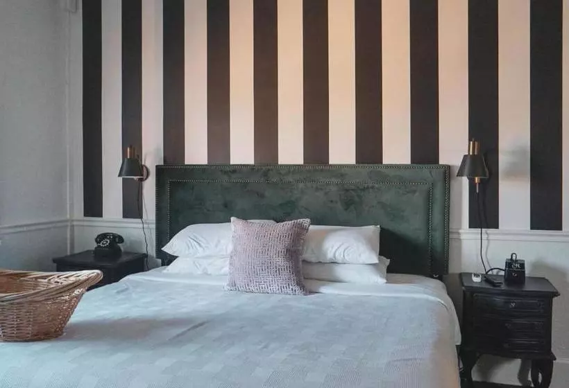 New Hotel Collection Downtown St Pete