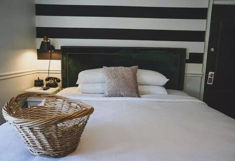 New Hotel Collection Downtown St Pete