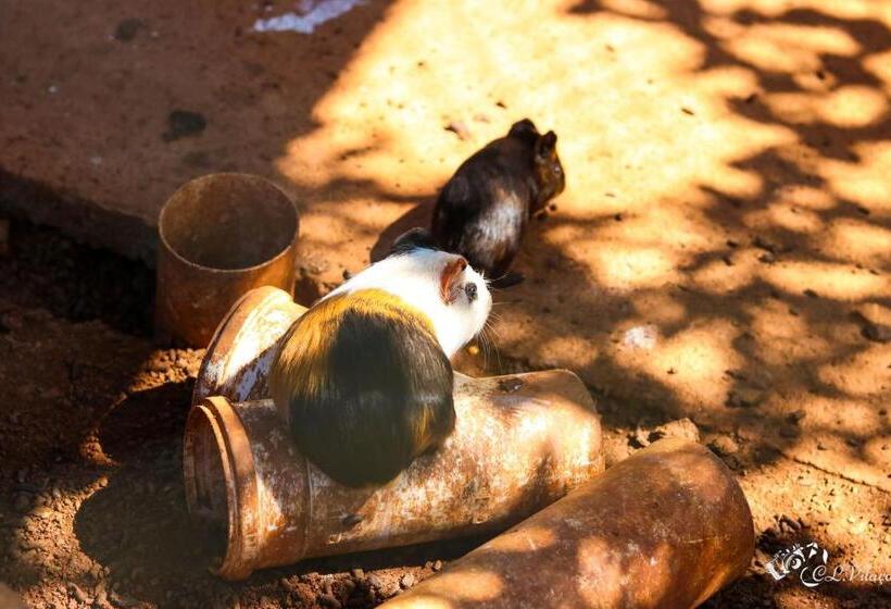 בית מלון כפרי Pousada E Restaurante Victórios