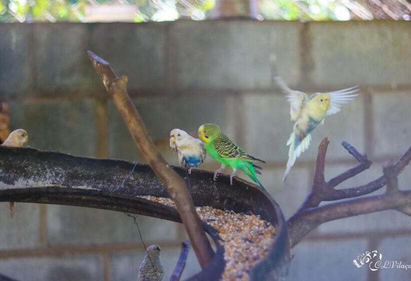 בית מלון כפרי Pousada E Restaurante Victórios