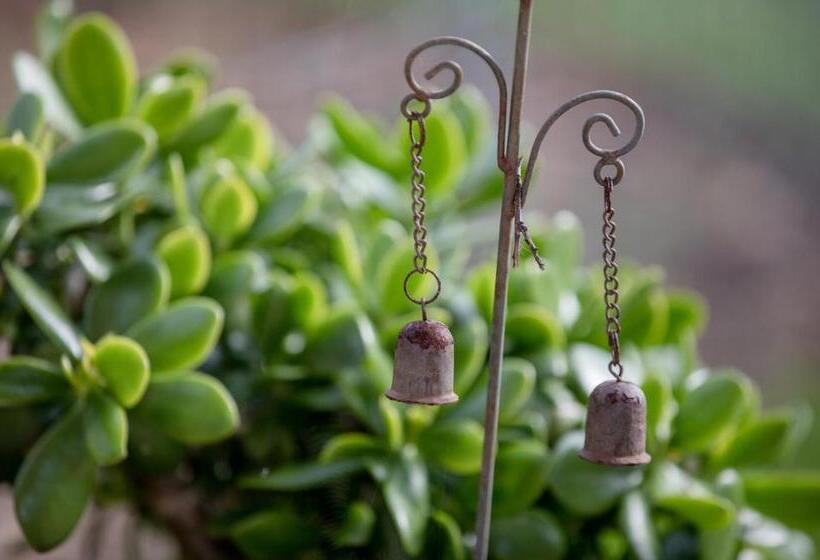 ペンション Apartments Zentil Banjol