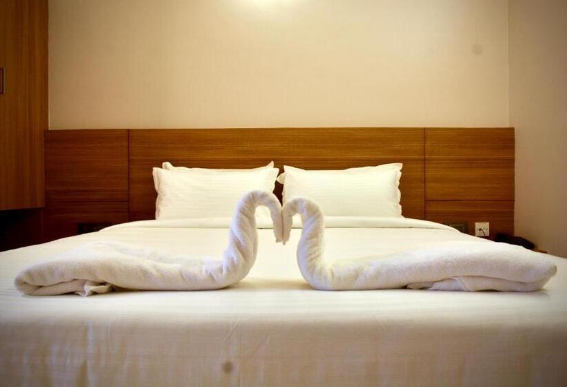 فندق صغير The First Light Inn