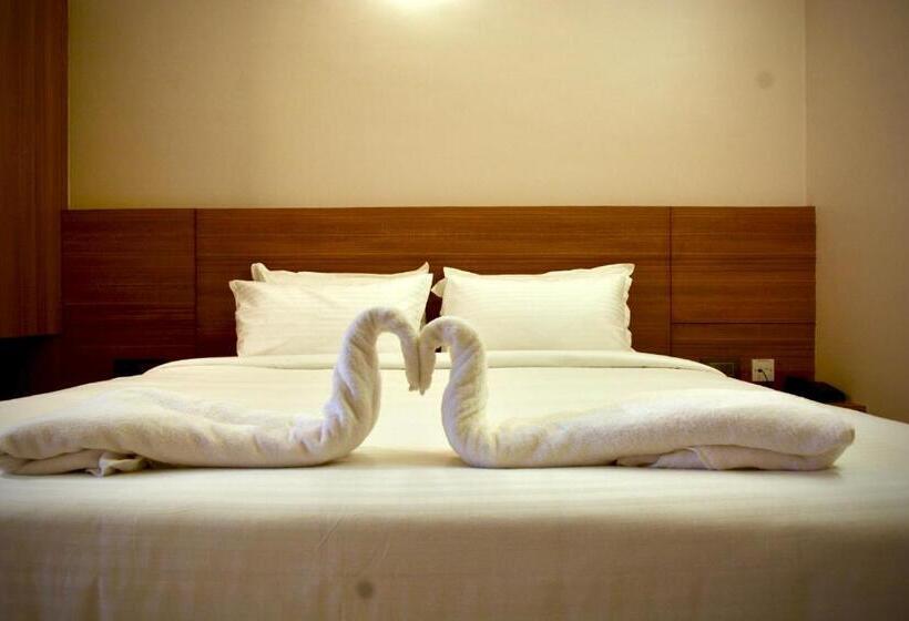 فندق صغير The First Light Inn