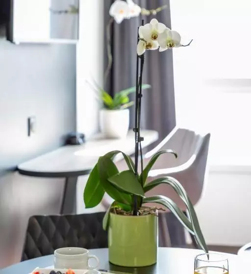 Nemea Appart Hotel Europe Velizy Villacoublay