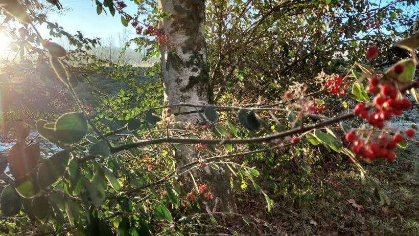 بنسيون Manoir Le Moulinal47   Vue Panoramique