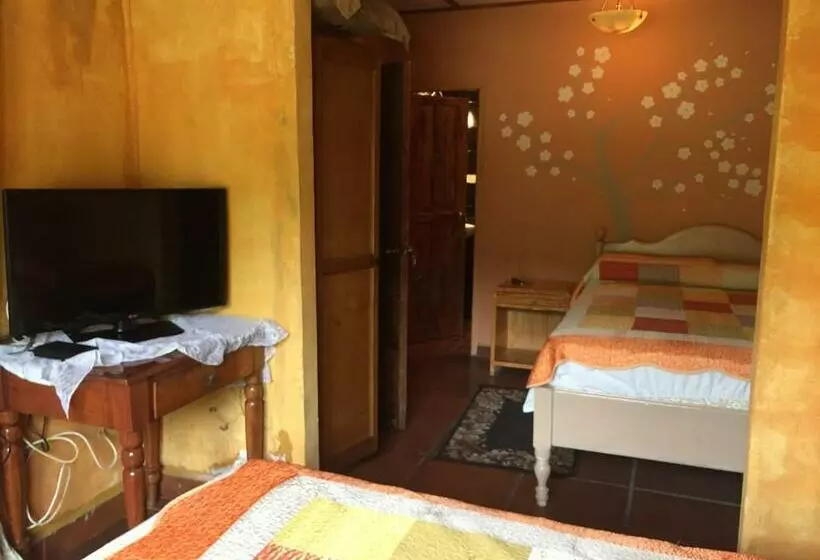 ユースホステル Hostal Sueños Del Río