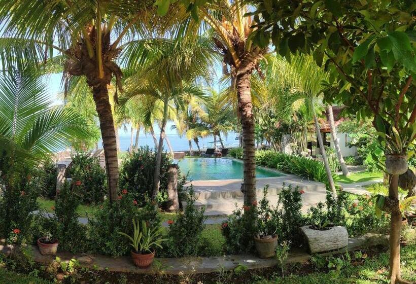 酒店 1000 Dream Bungalow